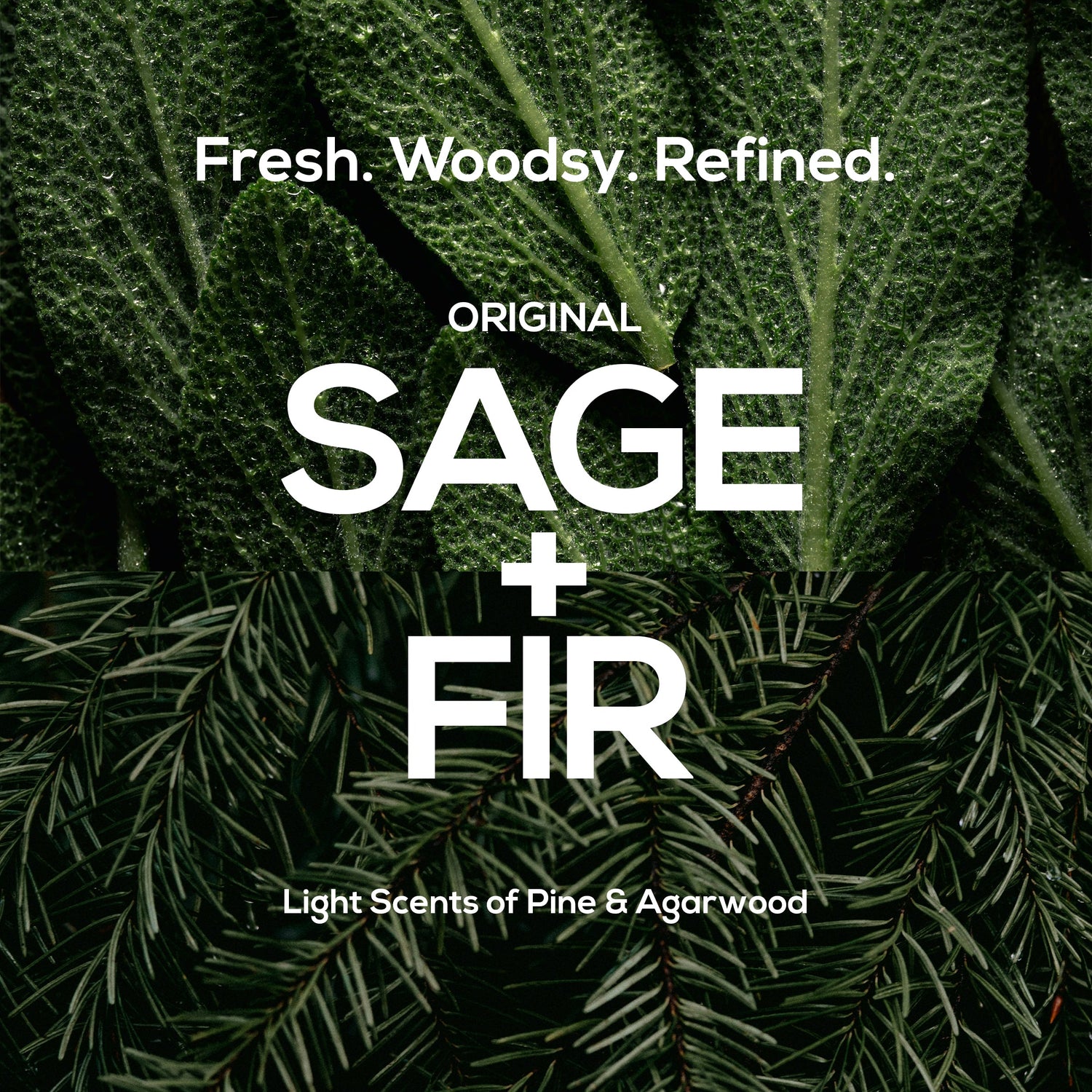 Original Sage + Fir