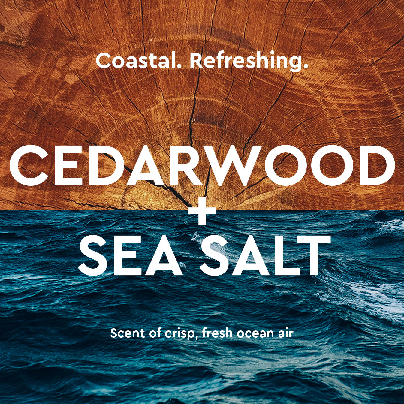 Cedarwood + Sea Salt