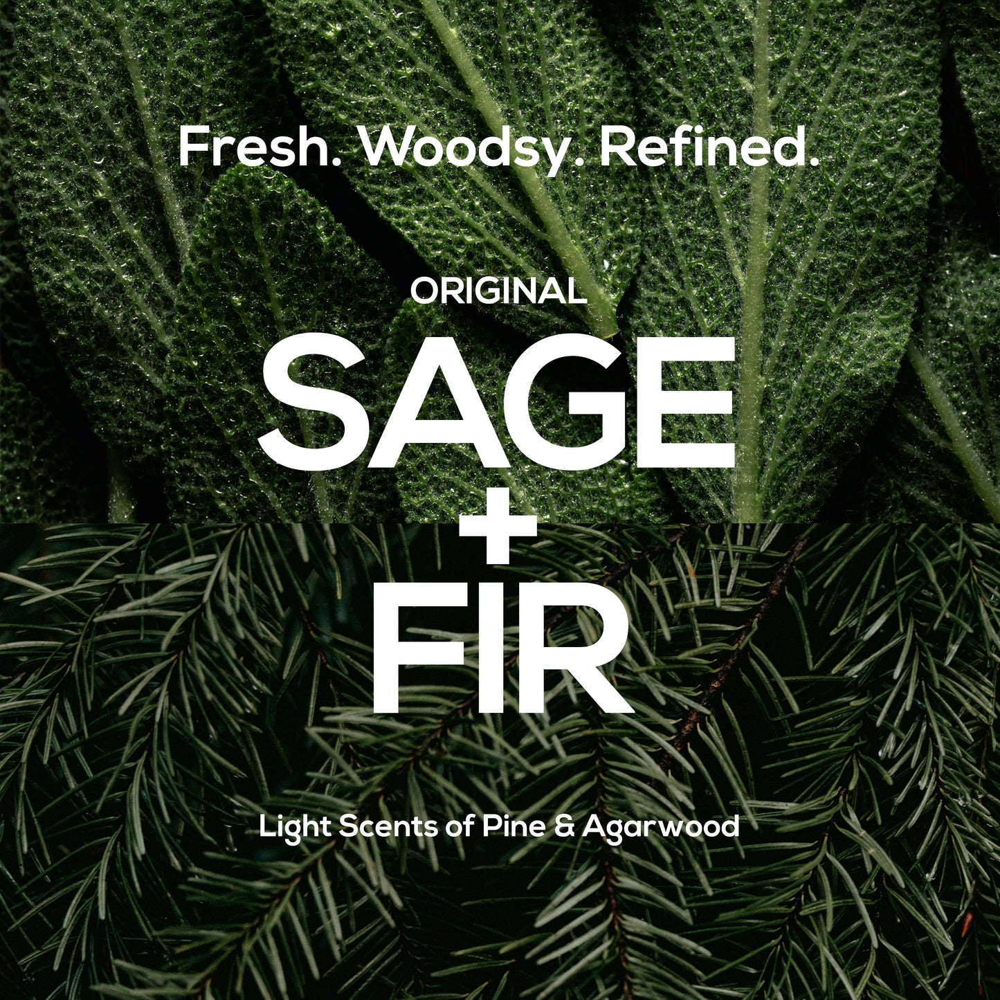 Scrub Soap Bar — Sage + Fir Scent