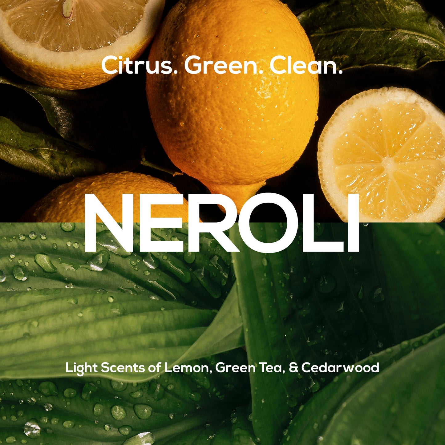 Soap Bar Discovery Set